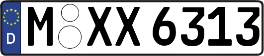 M-XX6313