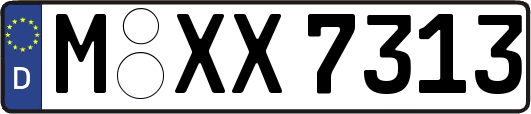 M-XX7313