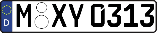 M-XY0313