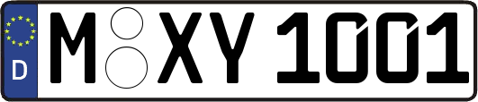 M-XY1001