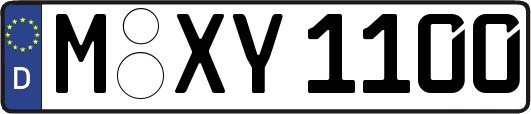 M-XY1100