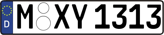 M-XY1313