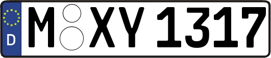 M-XY1317