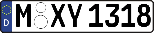 M-XY1318