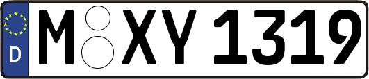 M-XY1319