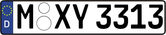 M-XY3313