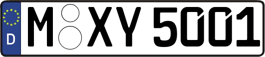 M-XY5001