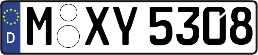 M-XY5308