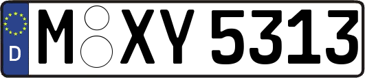M-XY5313
