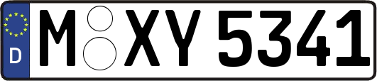 M-XY5341