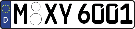 M-XY6001