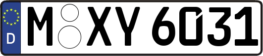 M-XY6031