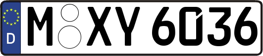 M-XY6036