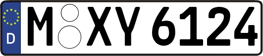 M-XY6124