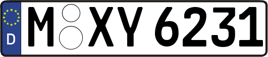 M-XY6231