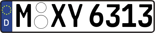 M-XY6313