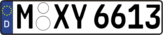 M-XY6613