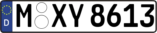 M-XY8613