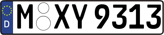 M-XY9313