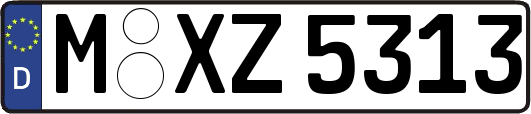 M-XZ5313