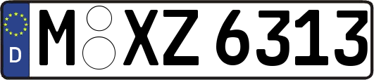 M-XZ6313