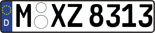 M-XZ8313