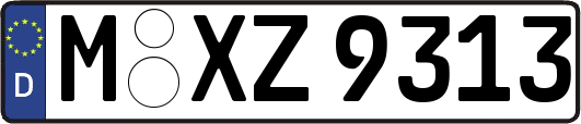 M-XZ9313