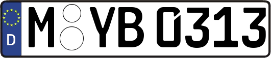 M-YB0313