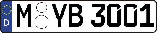 M-YB3001