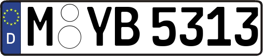 M-YB5313