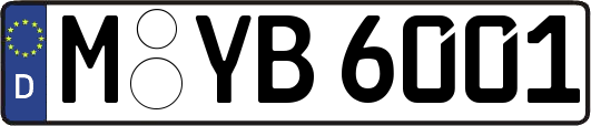 M-YB6001