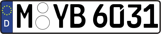 M-YB6031