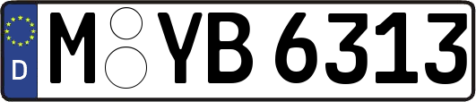 M-YB6313