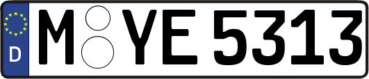 M-YE5313