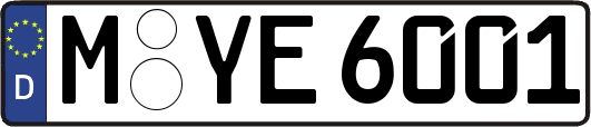 M-YE6001