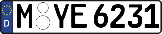 M-YE6231