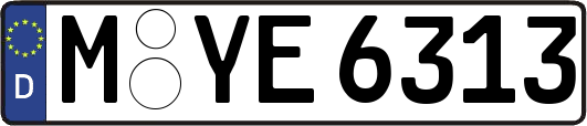 M-YE6313