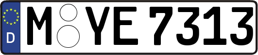 M-YE7313