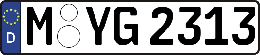 M-YG2313