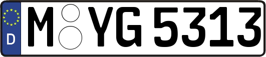 M-YG5313