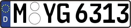 M-YG6313