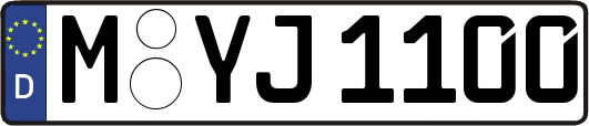 M-YJ1100