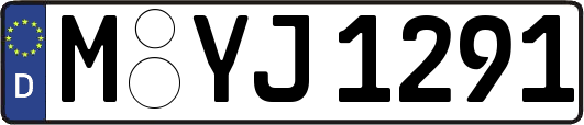 M-YJ1291