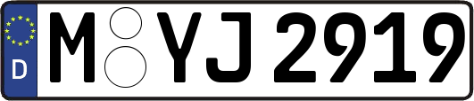 M-YJ2919