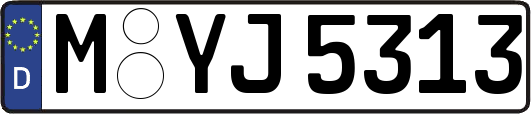 M-YJ5313