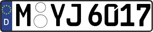 M-YJ6017