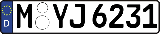 M-YJ6231