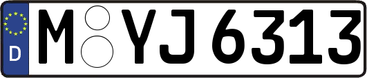 M-YJ6313