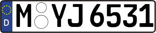 M-YJ6531