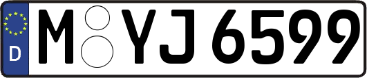 M-YJ6599